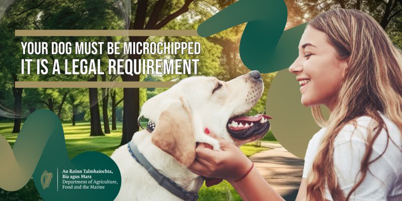 Microchipping of your dog is now the law.
